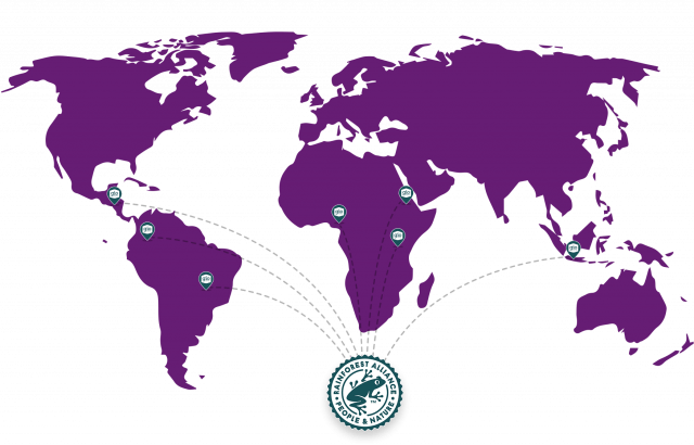 Gio Coffee Rainforest Alliance Koffie voor bedrijven