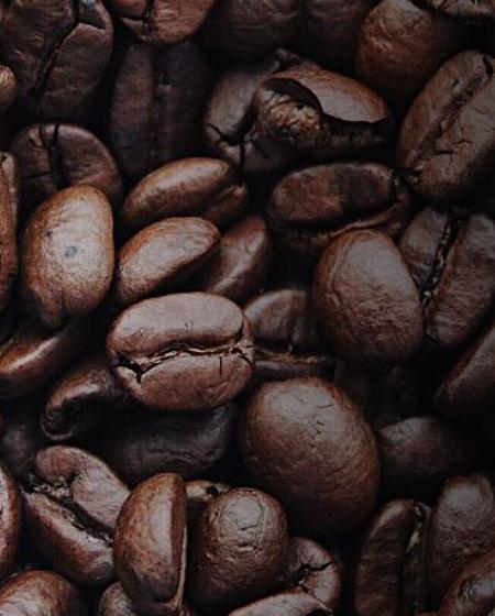 Gio Coffee koffiebonen voor op de werkvloer