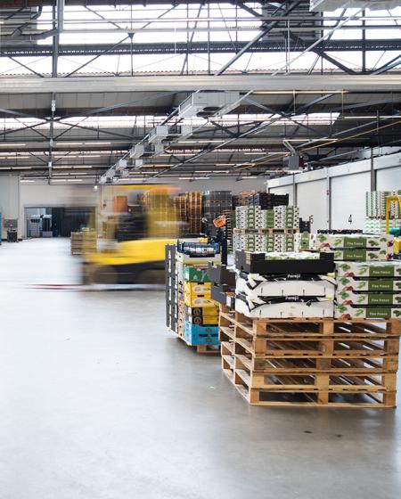 Gio Coffee klantcase - Witkamp BV - fruit en groente importeur en exporteur