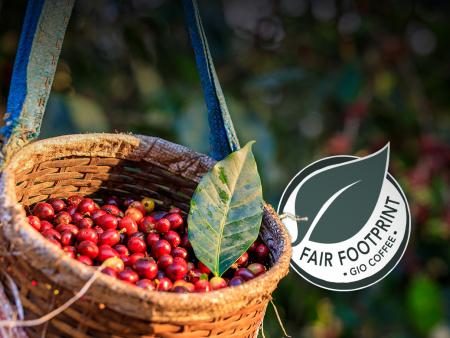 Gio Coffee werkt aan een toekomstbestendige koffemarkt