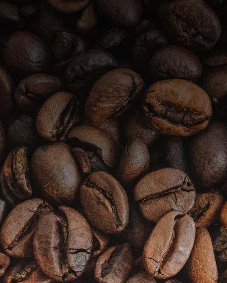Van koffieplantage tot koffiekop Gio Coffee